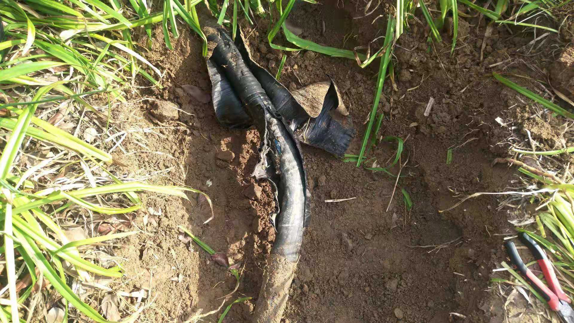 高壓電橋故障測試儀怎么使用